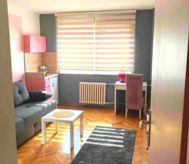 City Center Apartment | Charming Downtown Room