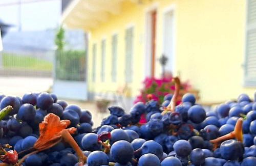 Barolo Apartment | Ciabot delle Aie - Barolo