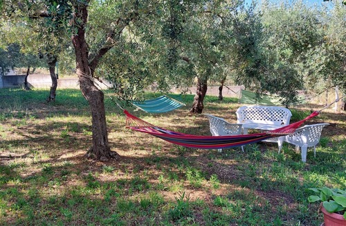 Santa Maria Imbaro House | Conny's Green House, Casa Immersa nel Verde di Uliveti Secolari Relax Garantito