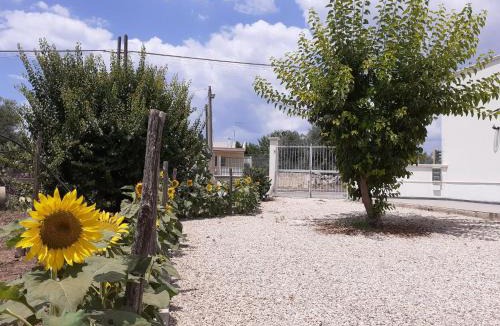 Pulsano Apartment | da Francesco