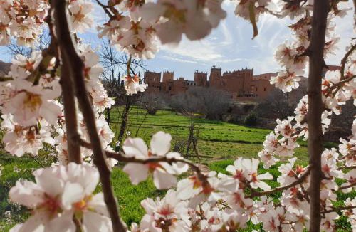 Ait Sedrate Jbel El Soufla Bed & Breakfast | Dar Jnan Tiouira Dades