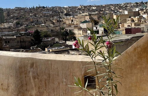 El Mokhifa House | DAR SEFFAH :Your house in the heart of the Fes' Medina
