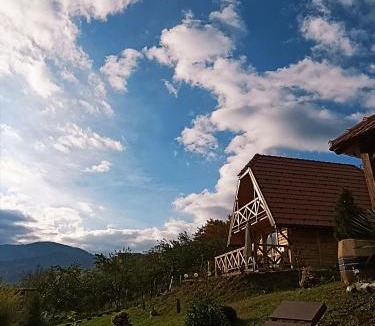 Mokra Gora House | Dedin Konak