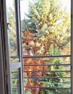 Arandelovac Apartment | Divna