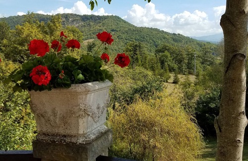 Caprese Michelangelo House | Enchanting two stone villas in the heart of Tuscany-Tastefully maintained