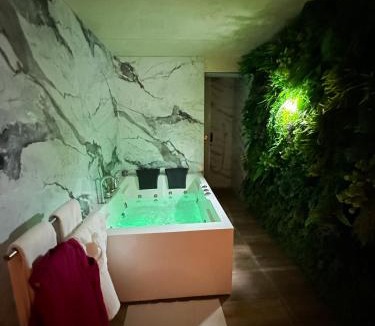 Bistrica Apartment | Fine apartment
