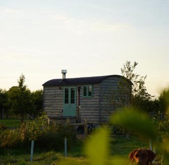 Donaghadee Other | Four Acres Farm Shepherds Huts