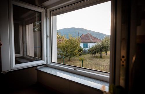 Arandelovac Apartment | Gavrilovic