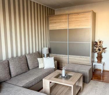 Vracar Apartment | Grand Apartment