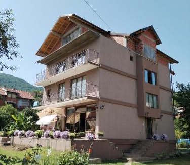Niska Banja House | Guest House Dimitrije
