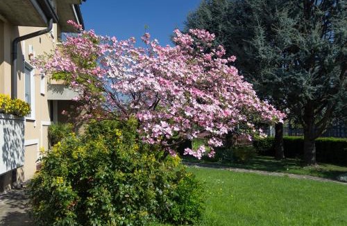 Trenzano Bed & Breakfast | Il Giardino