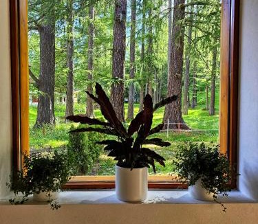 Obergoms Hotel | Lärchen Lodge