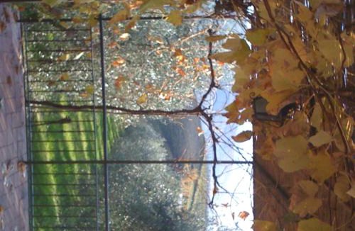 Bollano House | La Canonica
