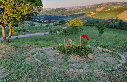 Montedinove Apartment | La Casetta al Sole