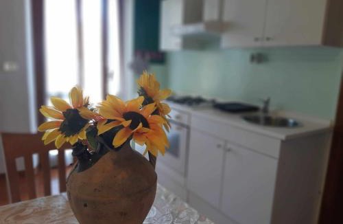 Senigallia Apartment | La meriggia Agriturismo- Ampio appartamento con terrazza esclusiva