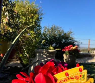 Carlentini House | La Terrazza di Cirico'