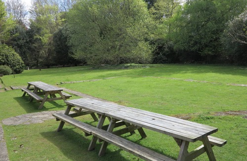 New Forest District Cottage | Large cottage Amazing location! Family group or friends up to 24 people!