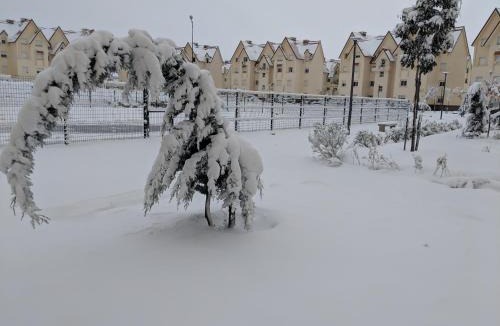 Ifrane Apartment | Les jardins d'Ifrane