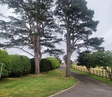 Kilcoo Apartment | Loughview Retreat in the Mournes