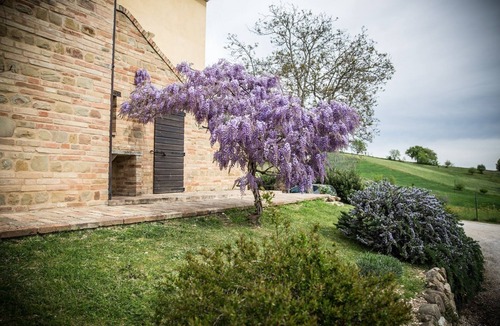 Colmurano House | Luxury Country Accommodation With Warm Italian Welcome. A Haven Of Peace.