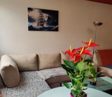 Bistrica Apartment | Maja Apartment