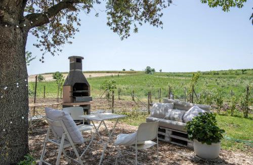 Manciano Villa | Marsy3 - Enchanting Lavender Farm Whole Property