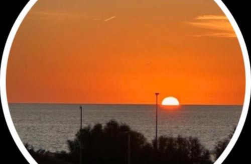 Fregenae Apartment | MDF Monolocale a Fregene 100 mt dal mare