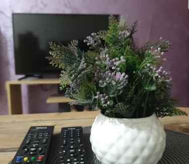 Sombor Apartment | Mirna R&N
