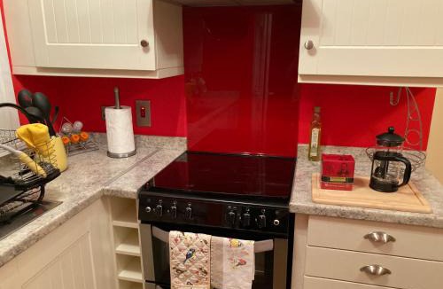Belfast Apartment | Mountroyal Victorian Self Catering Apartment 2