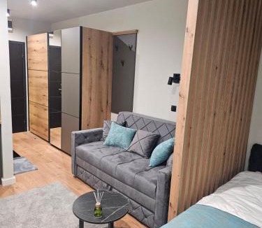 Kopaonik Apartment | Nest 316 Bela Reka Kopaonik