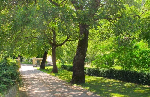 San Giovanni Valdarno Apartment | Nice apartment for 4 people with pool, WIFI, TV, pets allowed and parking
