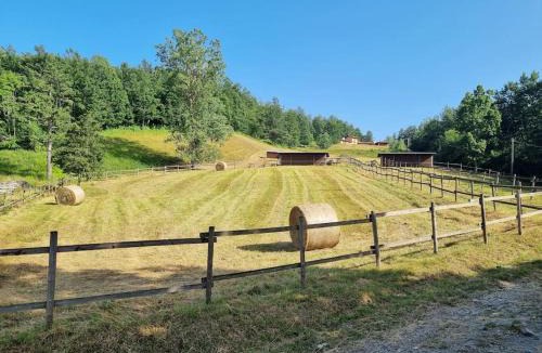 Compiano Apartment | Oasi di pace nella Val di Taro
