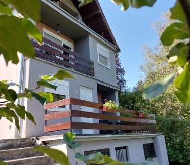 Banostor Apartment | OLOR Apartman 2 - Banoštor