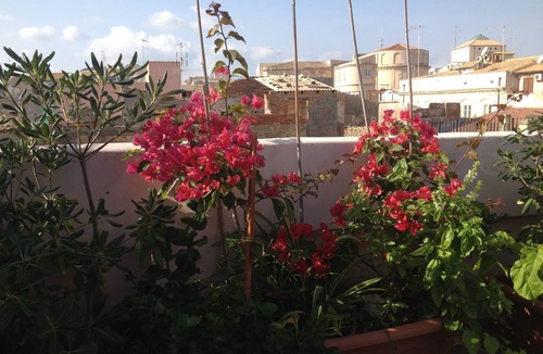 Ortigia Apartment | Ortigia, 5 min from the sea and the Duomo, luminous casa, large flowered terrace