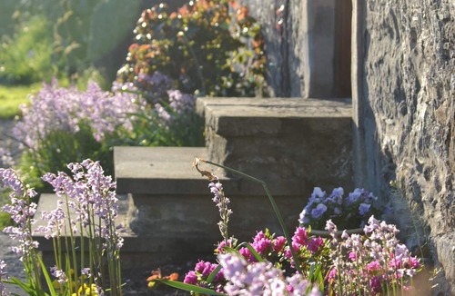 Murthly Cottage | Peaceful, cosy cottage in idyllic Highland Perthshire in beautiful scenery