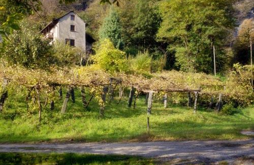 Coglio House | Pensione Boschetto