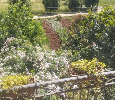 Lenola Bed & Breakfast | Petalo Rosso b&b