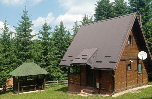 Tara National Park House | Planinska kuca Beli bor