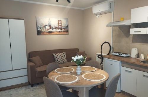 Novi Banovci Apartment | Prenoćište Lana 3