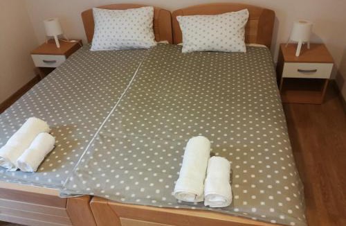 Arandelovac Apartment | President 034