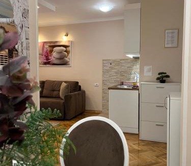 Grbavica Apartment | Prestige Apartment 2