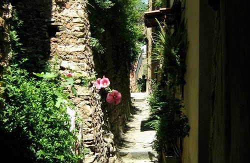 Marina di Pisciotta Resort | Private room ∙ 3 guests
