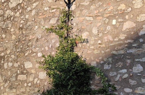 Spoleto House | Private rooms in Centro- with garden and Jacuzzi