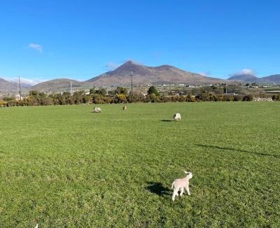 Newry House | Quintenvale House