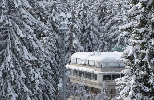 Marilleva Apartment | Res. Sole Alto appartamenti Solandra