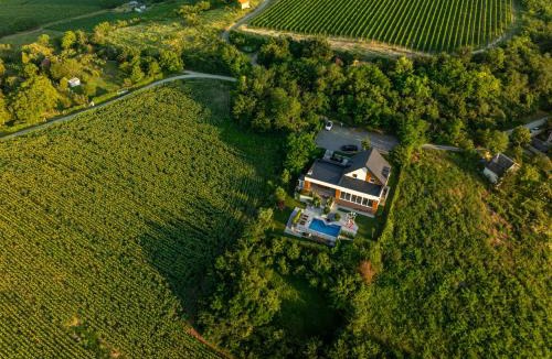 Sremska Mitrovica Villa | Riverside pool villa-Sremski Karlovci
