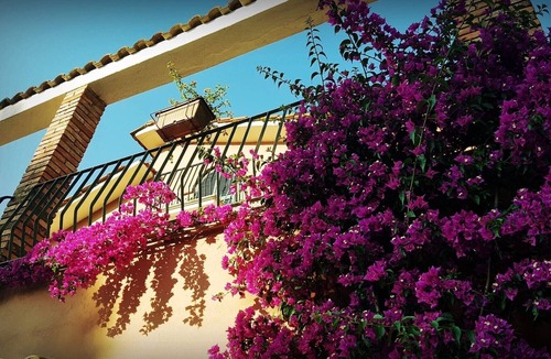 Zona XXVI Castel di Decima Apartment | Rome: Flat - 4 rooms for 4/5 persons: House with pool and garden