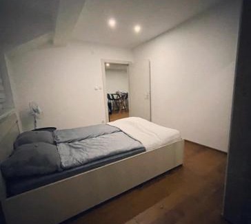 Vrsac Apartment | Sandra apartmani 4