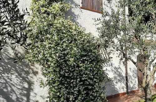 Fossato di Vico House | Santa Croce