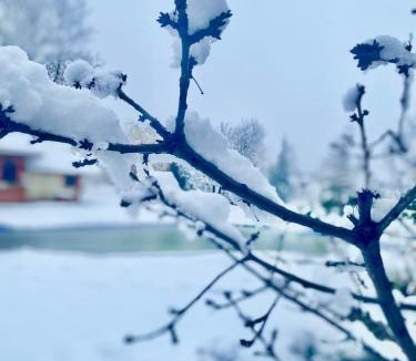 Central Serbia Villa | Skupljen Resort: Enjoy the Freedom!